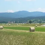 特瑞内住宿加早餐旅馆