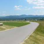 特瑞内住宿加早餐旅馆 3*