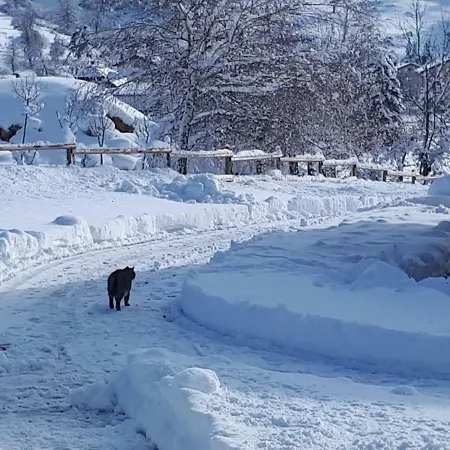 Bed & Breakfast Trnje