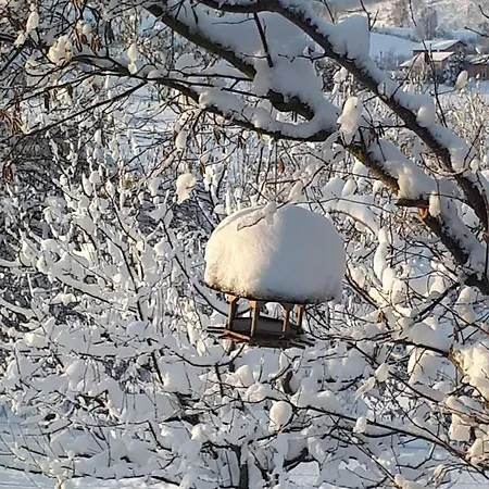 Bed & Breakfast Trnje Pivka