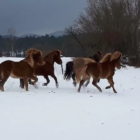 Trnje Oda ve Kahvaltı 3*