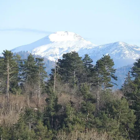 Trnje ベッド・アンド・ブレックファスト ピフカ