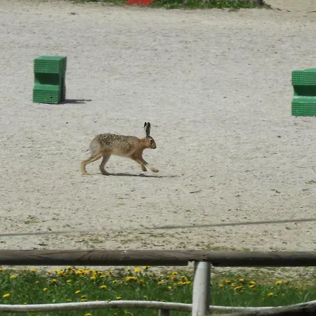 Trnje ベッド・アンド・ブレックファスト