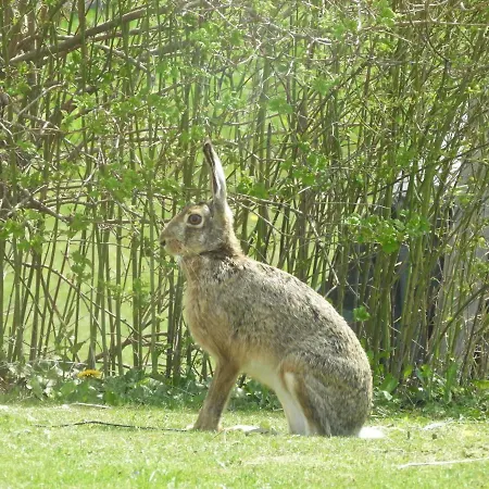 Oda ve Kahvaltı Trnje Pivka