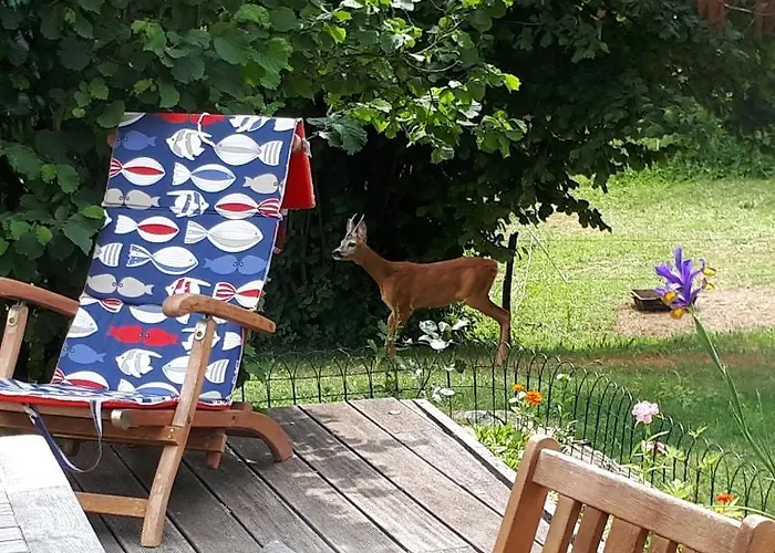 Nočitev z zajtrkom Trnje 3*