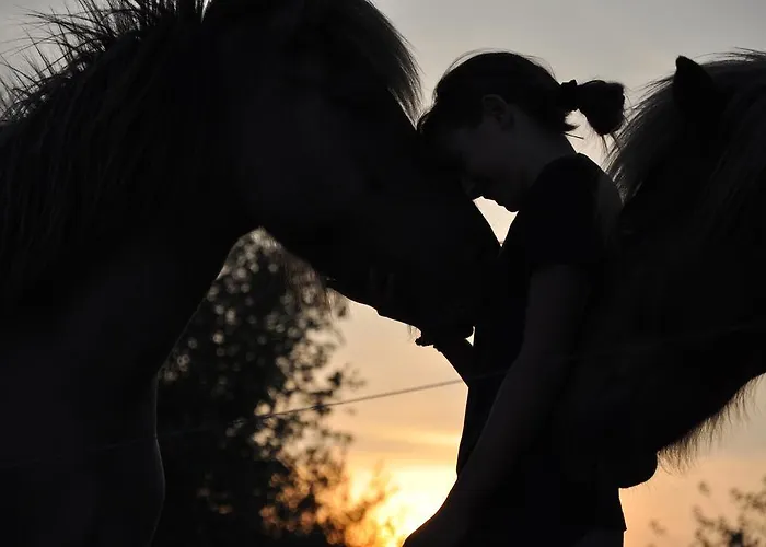 Trnje فندق مبيت وإفطار