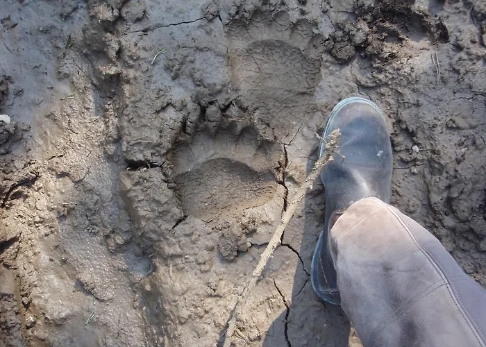 Nočitev z zajtrkom Trnje