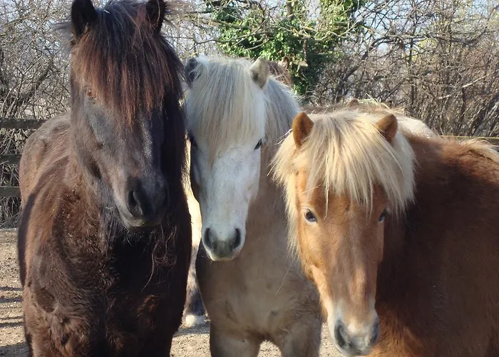 Trnje فندق مبيت وإفطار