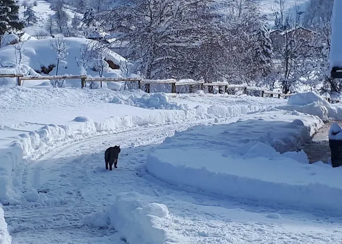 Nočitev z zajtrkom Trnje