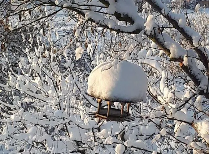 Nočitev z zajtrkom Trnje Pivka