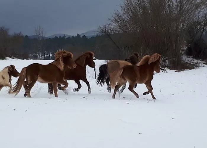 Trnje Nočitev z zajtrkom 3*