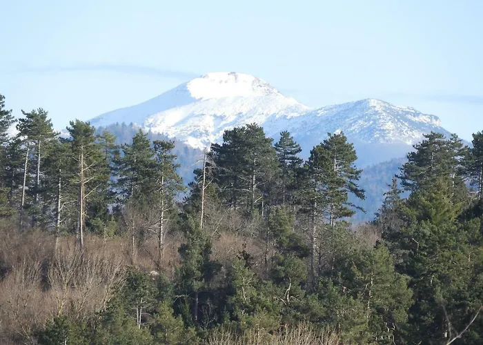 Trnje فندق مبيت وإفطار بيفكا