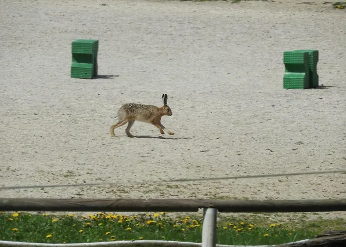 Trnje فندق مبيت وإفطار