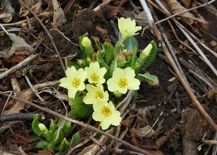 Bed & Breakfast Trnje